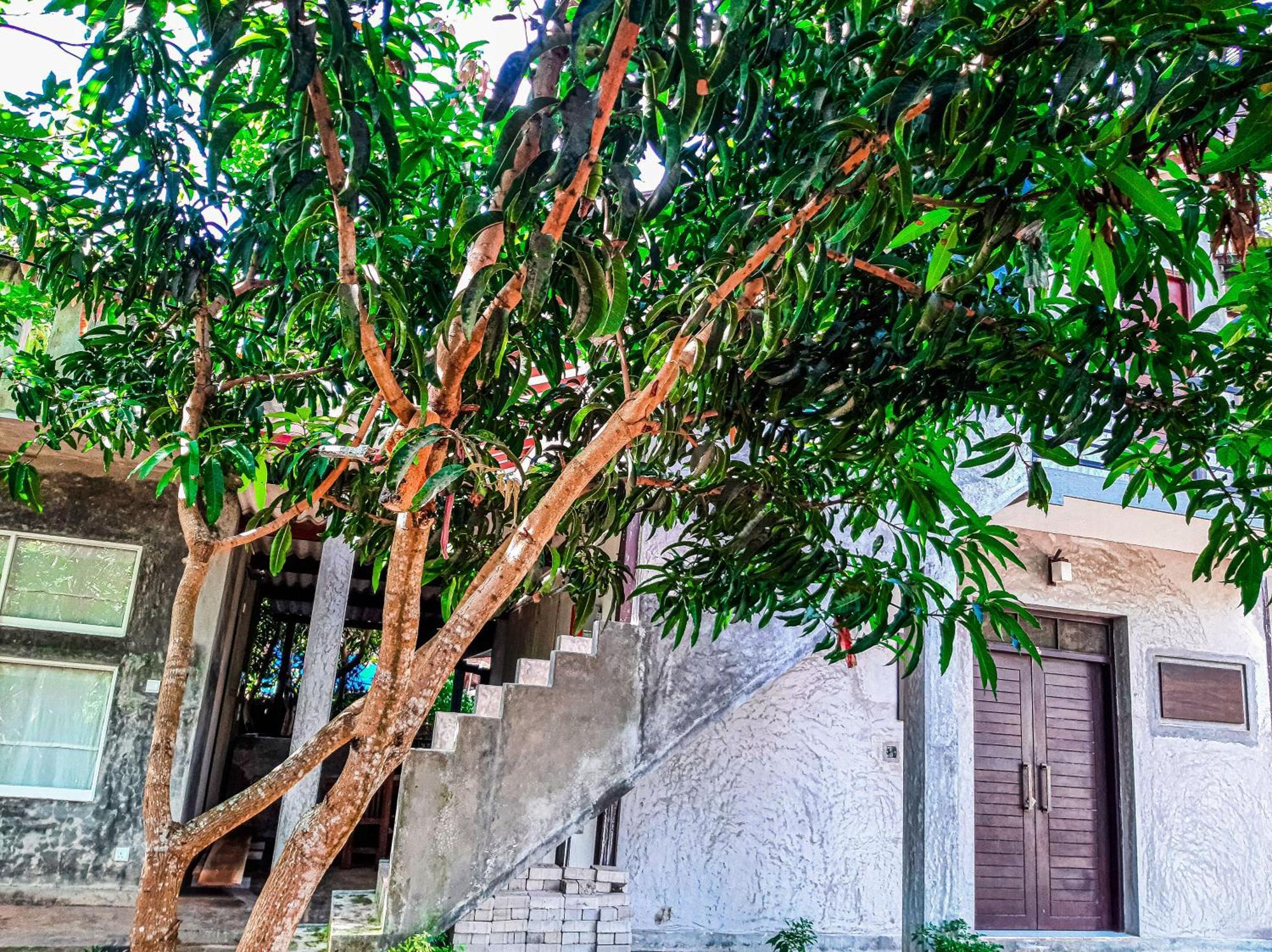Dollyz Home - Sri Lanka Ambalangoda  Buitenkant foto